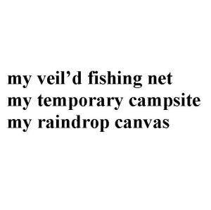 spidercraft_blog_text