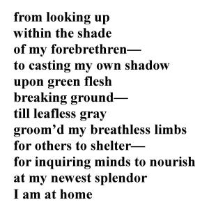 berth_lifetime_blog_text