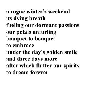 brief_simoon_blog_text